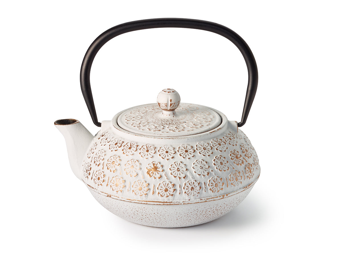 Teiera Giapponese in Ghisa Jin Il mio negozio