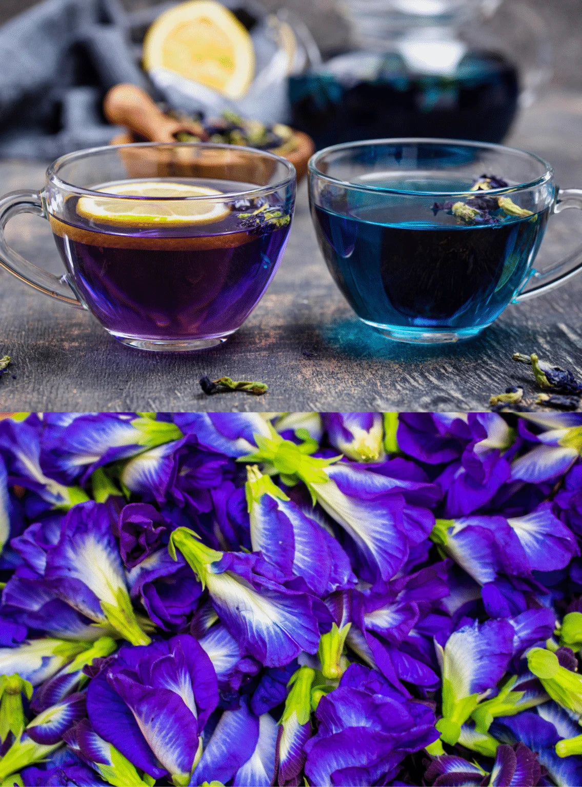 Butterfly pea Flower Tea Il mio negozio