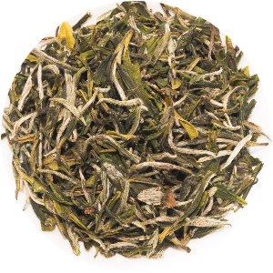 Snow Bud - Tea Shop La Teteria